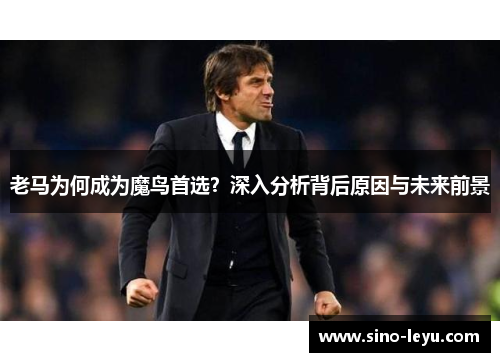 老马为何成为魔鸟首选？深入分析背后原因与未来前景