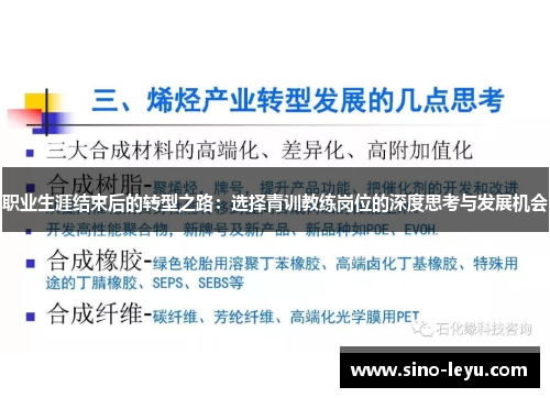 职业生涯结束后的转型之路：选择青训教练岗位的深度思考与发展机会