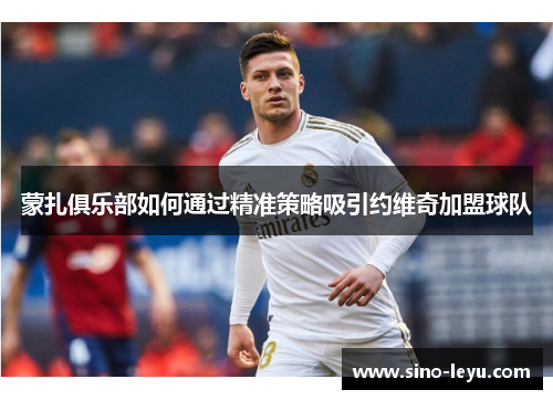 蒙扎俱乐部如何通过精准策略吸引约维奇加盟球队 蒙扎俱乐部如何通过精准策略吸引约维奇加盟球队