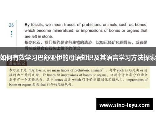 如何有效学习巴舒亚伊的母语知识及其语言学习方法探索