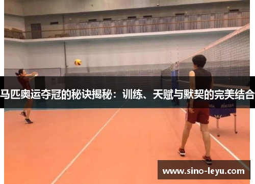 马匹奥运夺冠的秘诀揭秘：训练、天赋与默契的完美结合