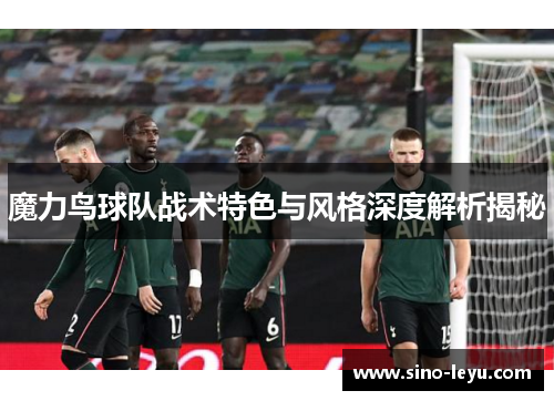 魔力鸟球队战术特色与风格深度解析揭秘