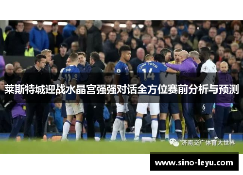 莱斯特城迎战水晶宫强强对话全方位赛前分析与预测