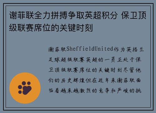 谢菲联全力拼搏争取英超积分 保卫顶级联赛席位的关键时刻