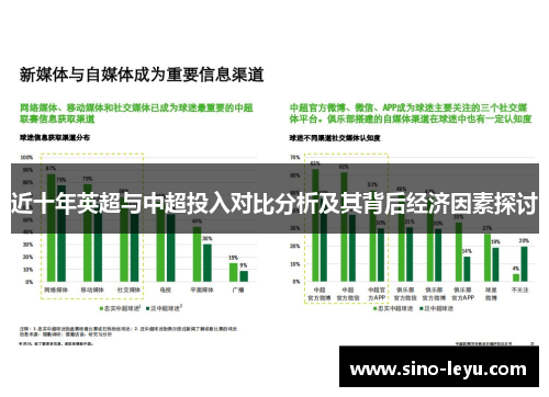近十年英超与中超投入对比分析及其背后经济因素探讨