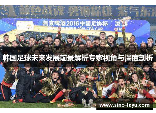 韩国足球未来发展前景解析专家视角与深度剖析